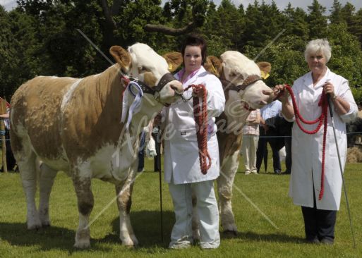 Ivomac Super Qualifiers at Armagh Show, exhibited by Sarah Jane Farrell and Thelma Gorman